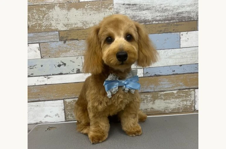image1 (1)