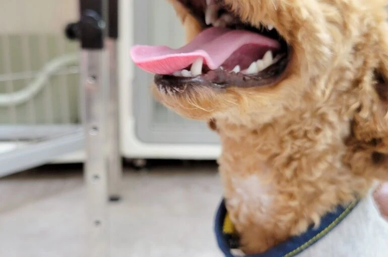 2023-07-05-15-15-39-771