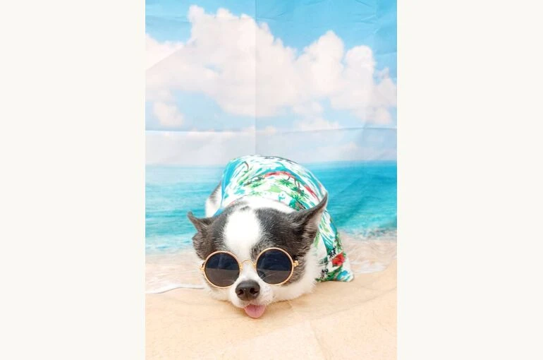 9227
