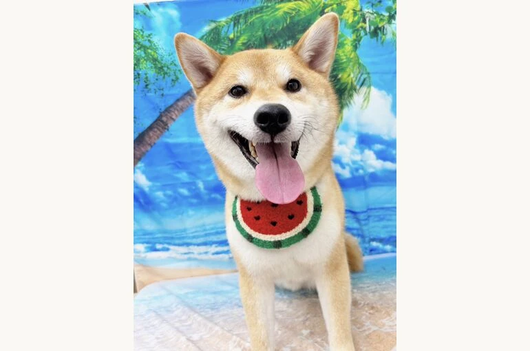 S__27918632_0