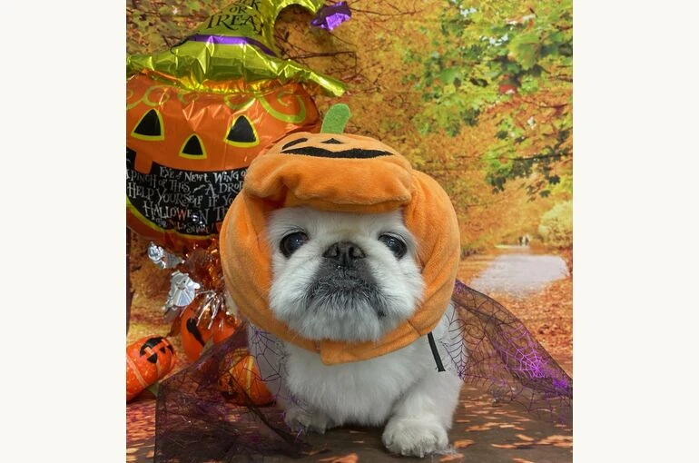 IMG_7546