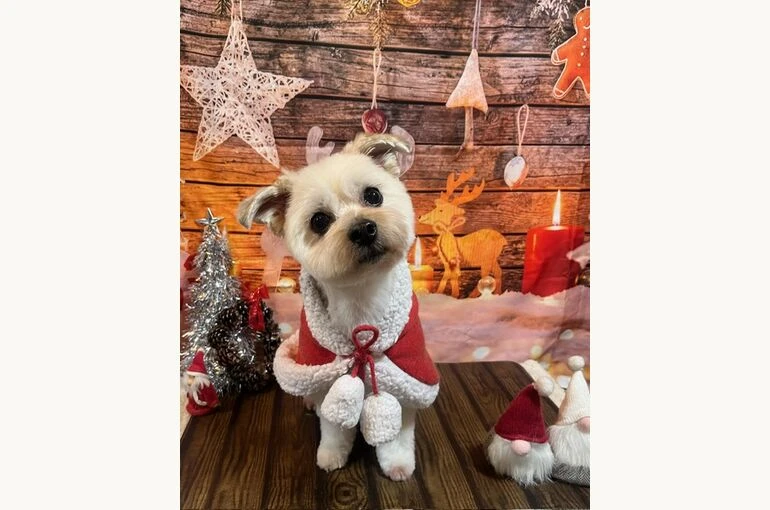 image1