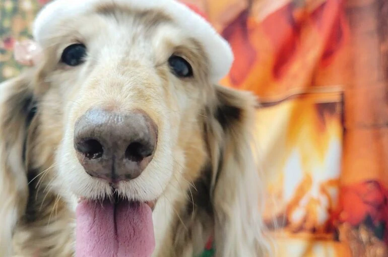 582887_0