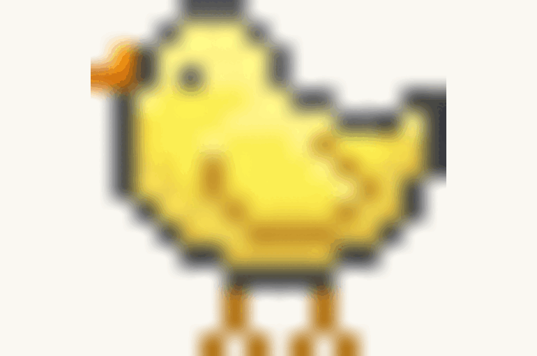 chick