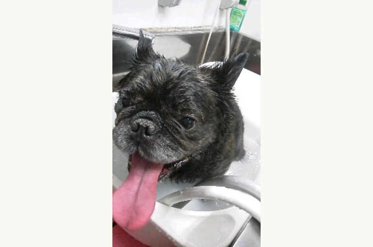 180810_1028001