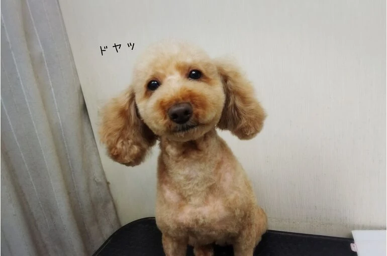 thumbnail_18-09-08-18-22-24-241_deco