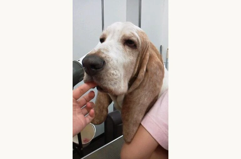 180910_1522001