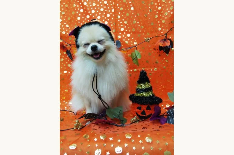 thumbnail_IMG_20181010_121513