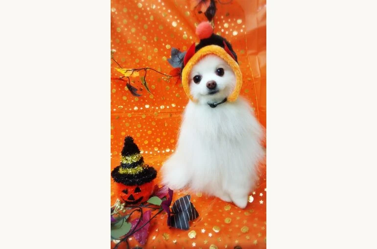 thumbnail_18-10-20-11-53-38-751_deco
