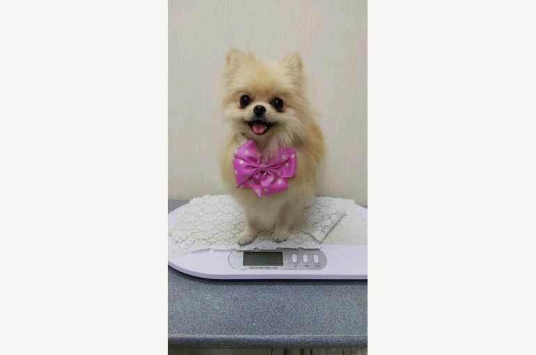 thumbnail_DSC_0432