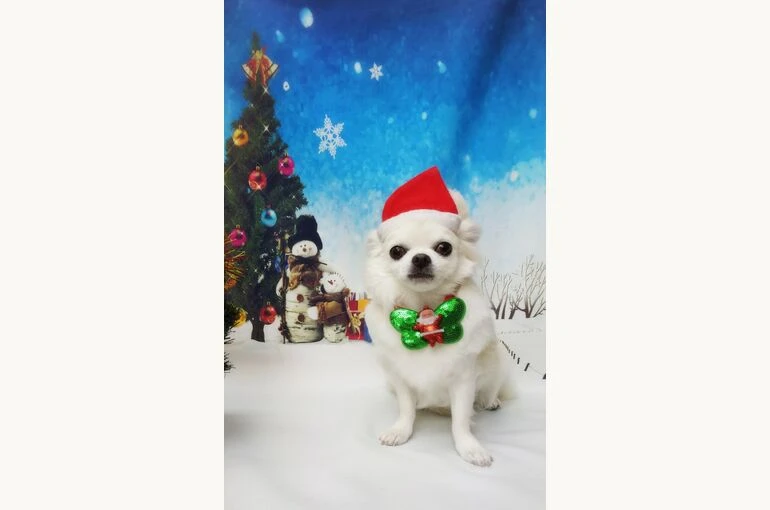 thumbnail_18-12-05-15-34-11-056_deco