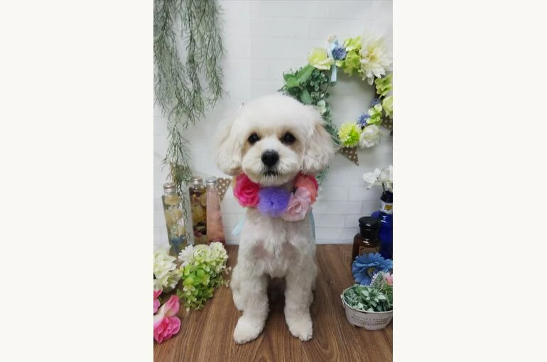 thumbnail_IMG_20190202_135634