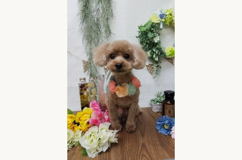 thumbnail_IMG_20190205_155806