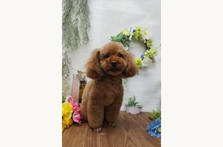 thumbnail_IMG_20190212_171056