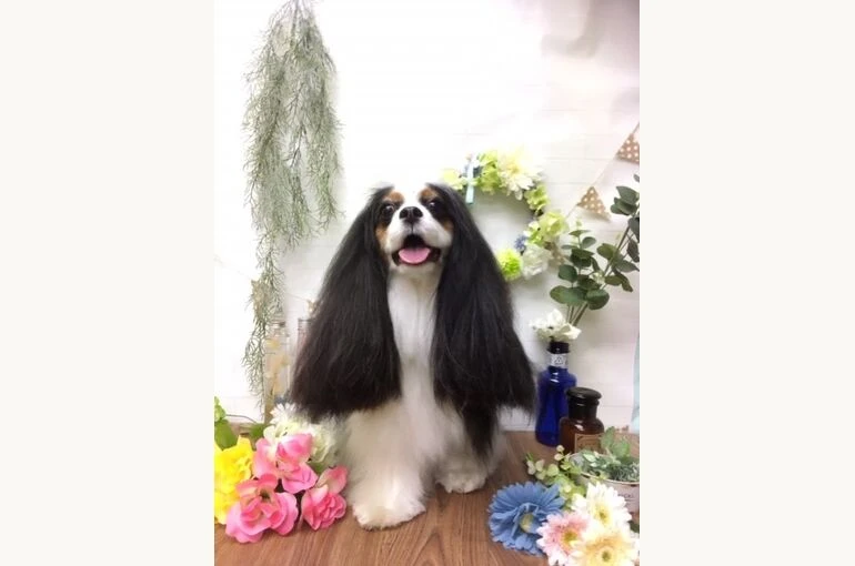 thumbnail_image1-5