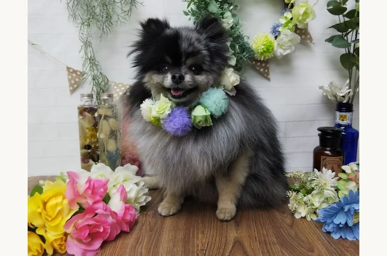 thumbnail_IMG_20190219_125226