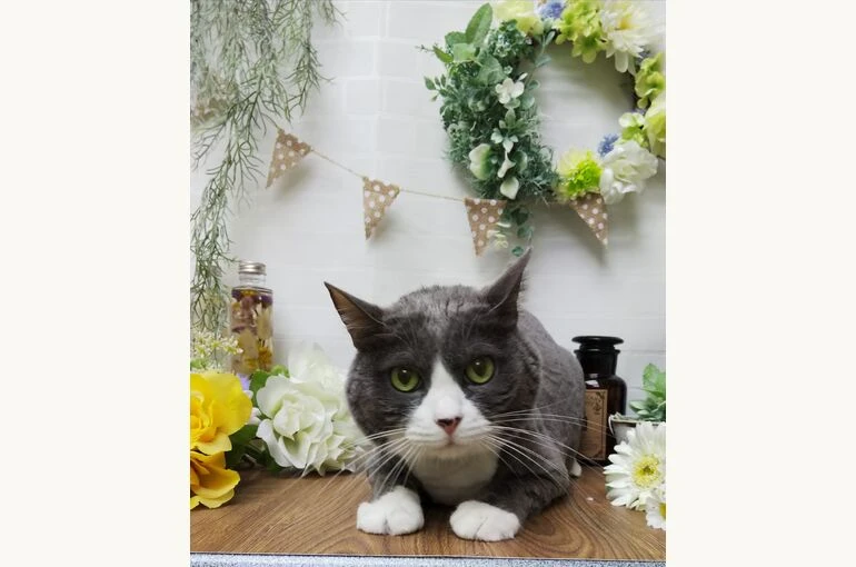 thumbnail_IMG_20190226_173529