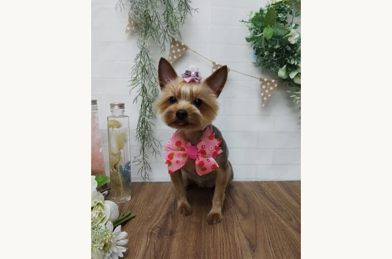 thumbnail_IMG_20190301_163413