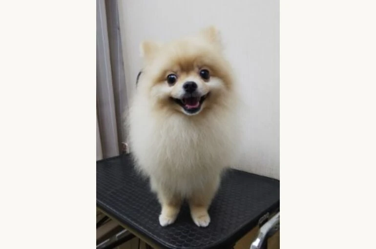 thumbnail_IMG_20190326_184124