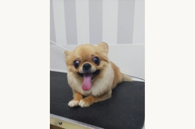 thumbnail_IMG_20190517_172313