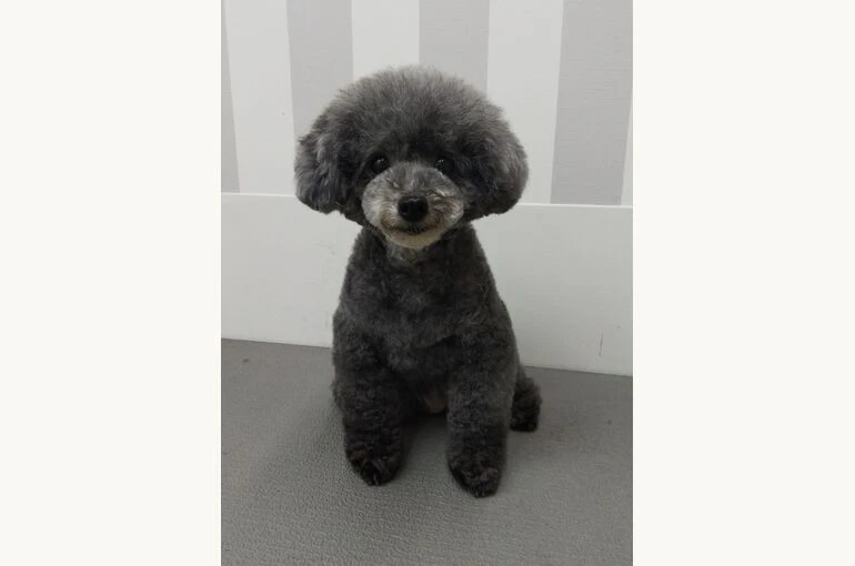 thumbnail_IMG_20190519_161154