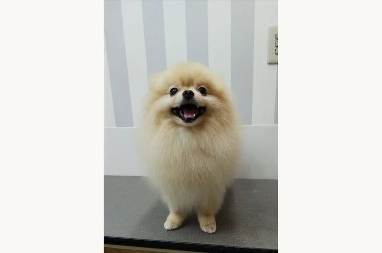 thumbnail_IMG_20190621_150456