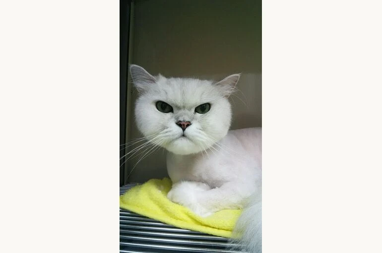 thumbnail_DSC_2555