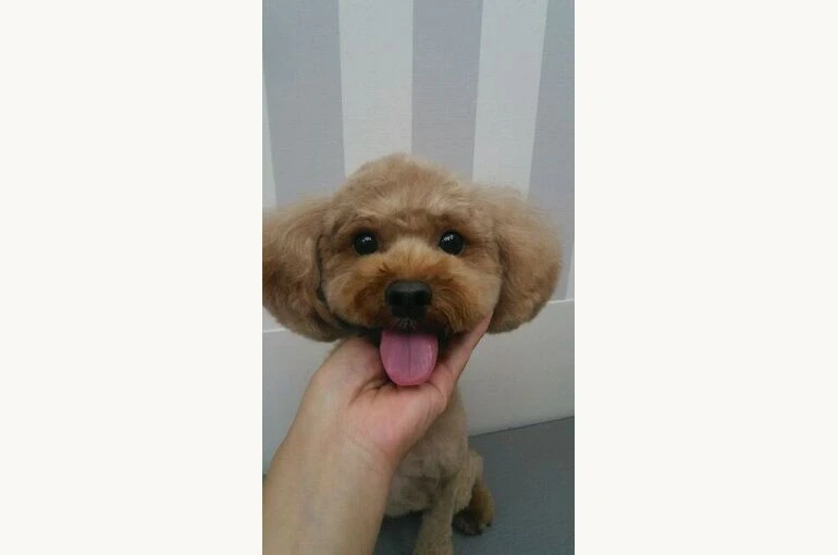 thumbnail_DSC_3121