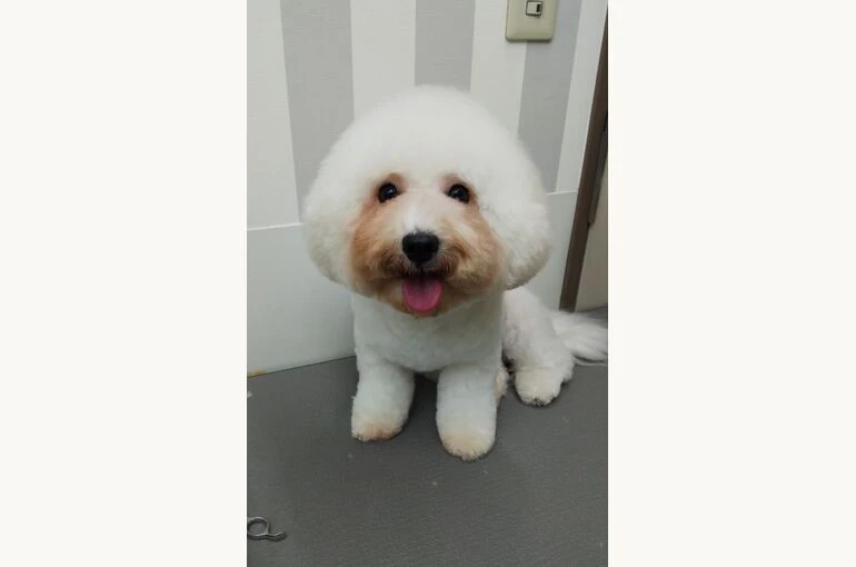 thumbnail_IMG_20190908_180318