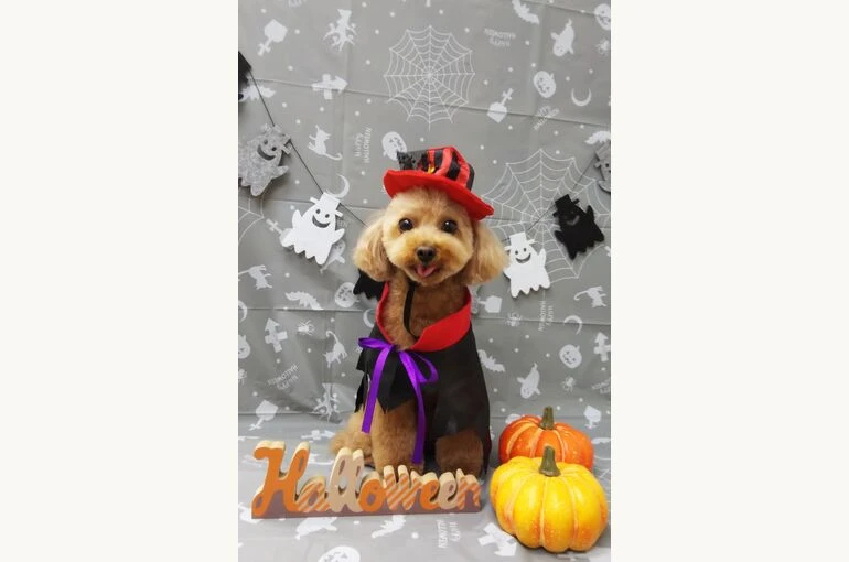 thumbnail_19-10-05-19-48-48-894_deco
