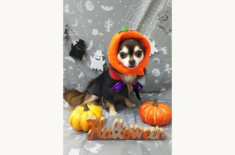 thumbnail_IMG_20191015_233917