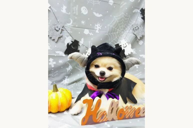 thumbnail_19-10-23-16-47-56-110_deco