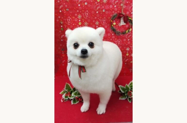 thumbnail_IMG_20191210_173422