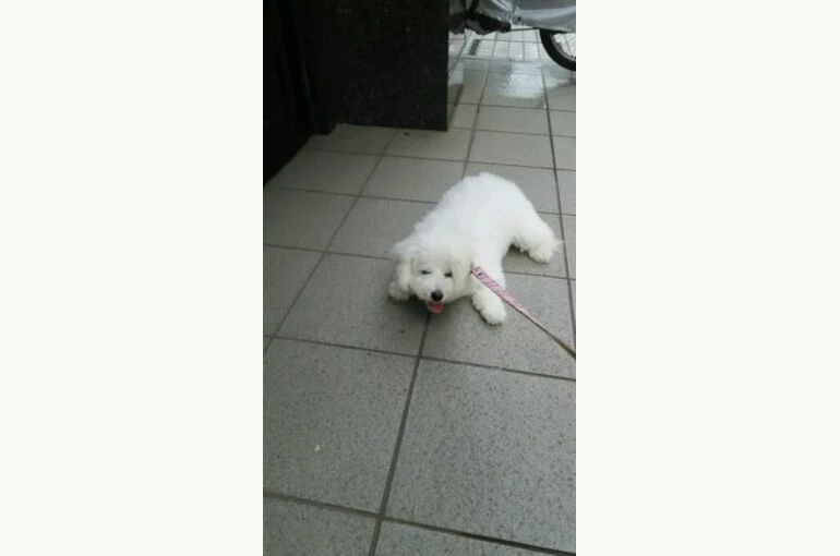 thumbnail_DSC_7567-281x500-1