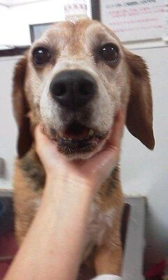 07040001
