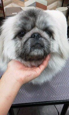 07280001
