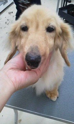 08120001