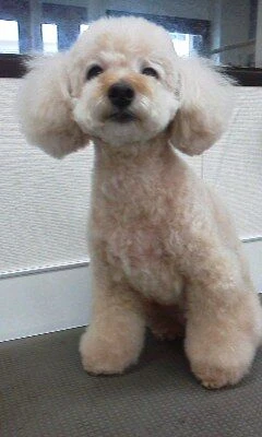 08150001