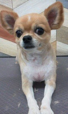 08210001