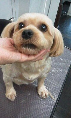 09100001