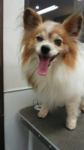 dsc_0002