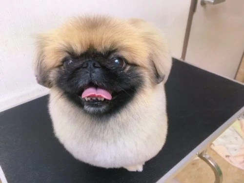 thumbnail_image2