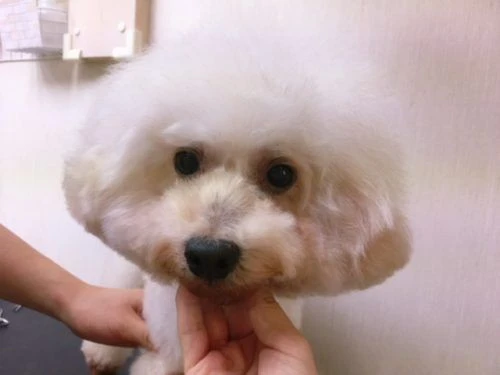thumbnail_image1