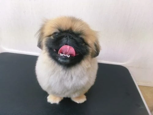 thumbnail_image1