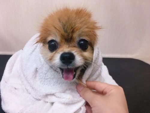 thumbnail_image1