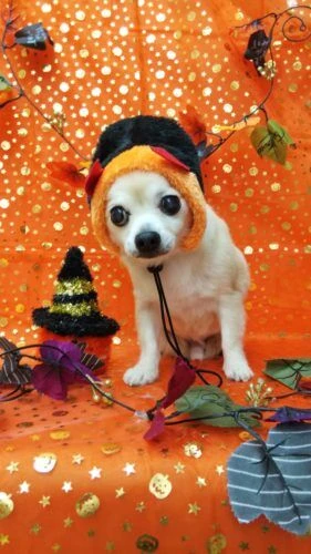 thumbnail_dsc_0170