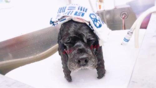 thumbnail_image1
