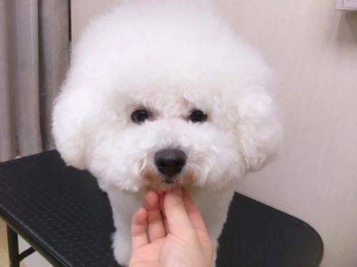 thumbnail_image1