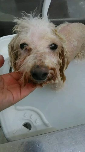 dsc_0014