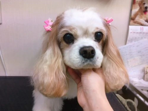 thumbnail_image4